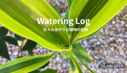 今日は少しだけ、水の音｜Just a Little Sound of Water｜25 July 2025