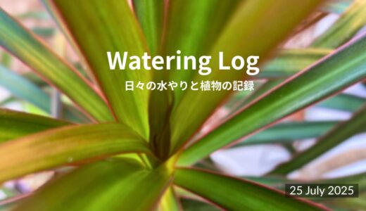 朝日とともに水やりを｜With the Morning Sun｜26 July 2025