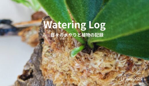 朝食の後は…そうです。水やりです。