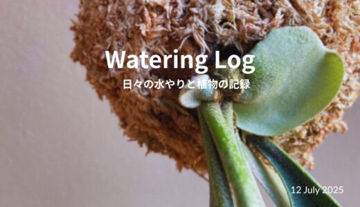 Watering on Saturday Mornings