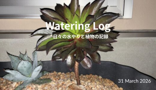 センポニウム・ミセスフロスティー、限界を超えたので切った話。