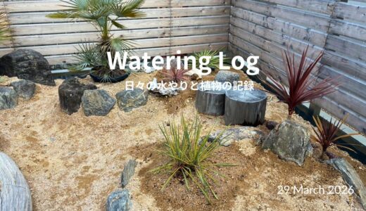 3月のドライガーデン、始動。コルジリネとユッカたちを地に下ろした日のこと。