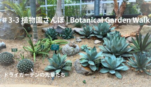 ＃3-3 植物園さんぽ｜ドライガーデンの先輩たち｜1 May 2026