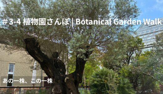 ＃3-4 植物園さんぽ｜あの一株、この一株｜1 May 2026