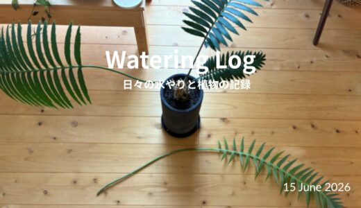 徒長した新芽と、苦渋のカット｜The Etiolated Frond I Had to Cut｜15 June 2026