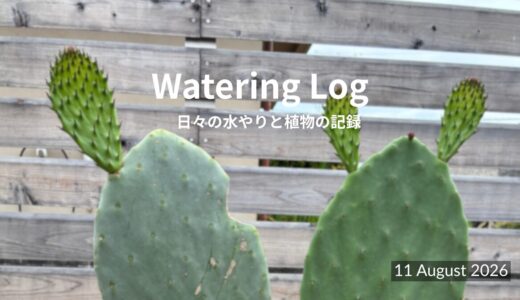 うちわを一枚、また一枚｜Pad by Pad｜11 August 2026