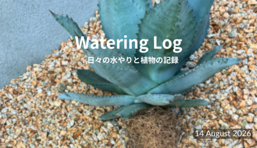 ぐらついた足元と、やり直しの夏｜Rerooting a Silver Wave｜11 August 2026